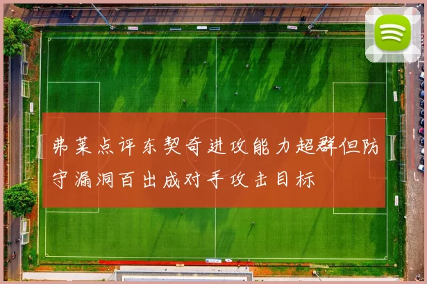 弗莱点评东契奇进攻能力超群但防守漏洞百出成对手攻击目标