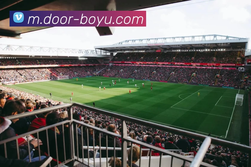 博鱼体育服务体系